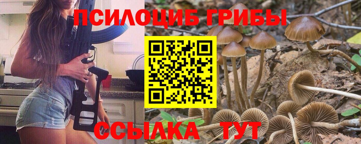 Галлюциногенные грибы MAGIC MUSHROOMS  Вход с VPN  Хабаровск  даркнет сайт  Галлюциногенные грибы Magic Shrooms 